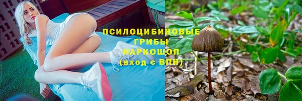круглые Алзамай