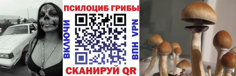 Псилоцибиновые грибы ЛСД  Крым 